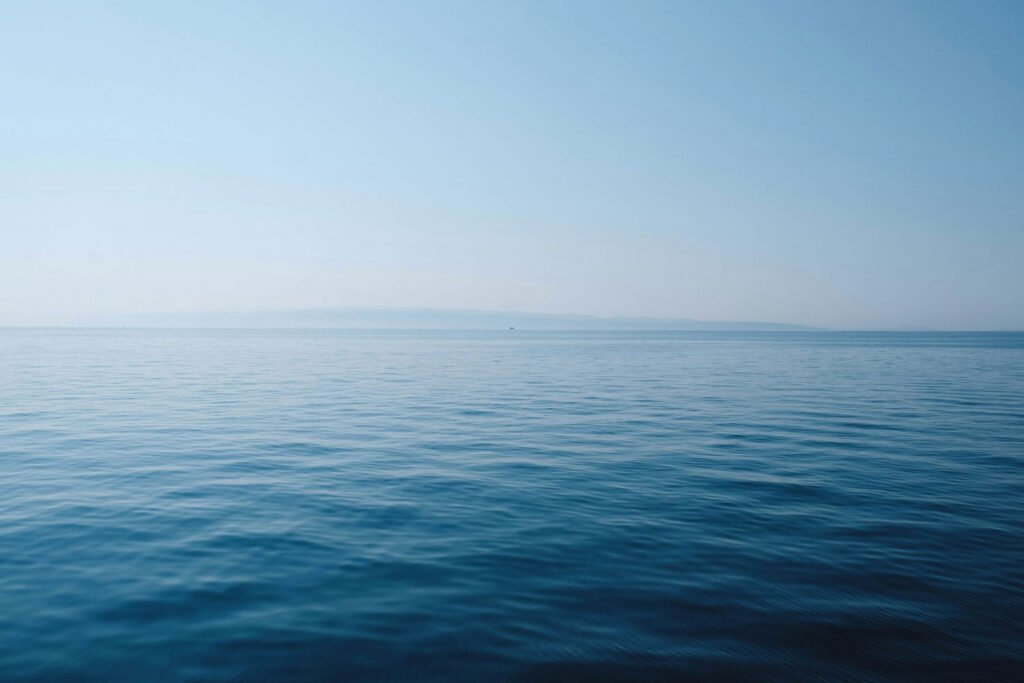 Blog 1